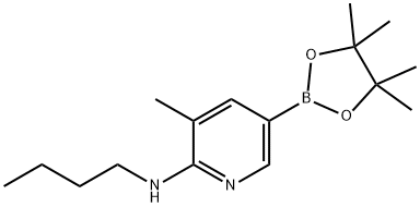 N-butyl-3-Methyl-5-(4,4,5,5-tetraMethyl-1,3,2-dioxaborolan-2-yl)pyridin-2-aMine Structure