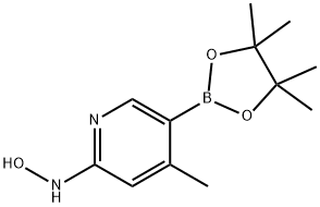 N-(4-Methyl-5-(4,4,5,5-tetraMethyl-1,3,2-dioxaborolan-2-yl)pyridin-2-yl)hydroxylaMine 구조식 이미지
