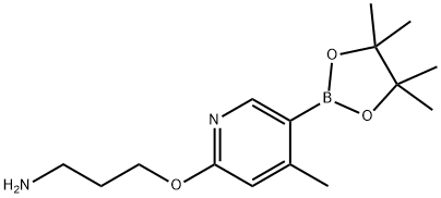 3-((4-Methyl-5-(4,4,5,5-tetraMethyl-1,3,2-dioxaborolan-2-yl)pyridin-2-yl)oxy)propan-1-aMine 구조식 이미지