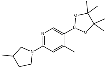 4-Methyl-2-(3-Methylpyrrolidin-1-yl)-5-(4,4,5,5-tetraMethyl-1,3,2-dioxaborolan-2-yl)pyridine 구조식 이미지