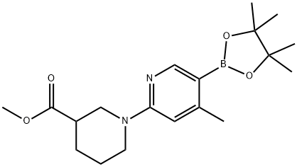 Methyl 1-(4-Methyl-5-(4,4,5,5-tetraMethyl-1,3,2-dioxaborolan-2-yl)pyridin-2-yl)piperidine-3-carboxylate 구조식 이미지