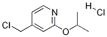 4-(chloroMethyl)-2-isopropoxypyridine hydrochloride Structure
