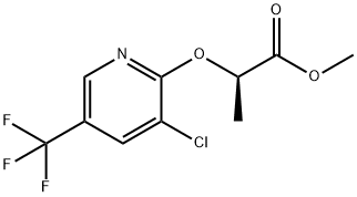 (R)-2-(3-Chloro-5-trifluoroMethyl-pyridin-2-yloxy)-propionic acid Methyl ester Structure