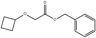 benzyl 2-cyclobutoxyacetate Structure