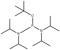 TERT-BUTYL TETRAISOPROPYLPHOSPHORODIAMIDITE 구조식 이미지