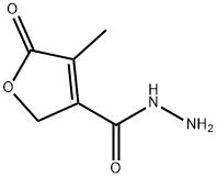 3-Furancarboxylicacid,2,5-dihydro-4-methyl-5-oxo-,hydrazide(9CI) Structure