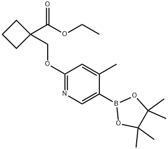 ethyl 1-(((4-Methyl-5-(4,4,5,5-tetraMethyl-1,3,2-dioxaborolan-2-yl)pyridin-2-yl)oxy)Methyl)cyclobutanecarboxylate Structure