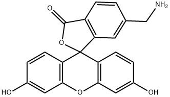 6-(aminomethyl)fluorescein Structure