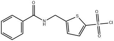 5-[(벤조일라미노)메틸]티오펜-2-설포닐클로라이드 구조식 이미지