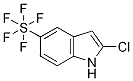 2-Chloro-5-pentafluorosulfanyl-1H-indole Structure