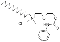 SALOR-INT L498025-1EA Structure