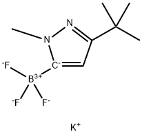 Potassium (3-(tert-butyl)-1-methyl-1H-pyrazol-5-yl)trifluoroborate 구조식 이미지