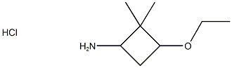 3-Ethoxy-2,2-dimethylcyclobutan-1-amine hydrochloride Structure