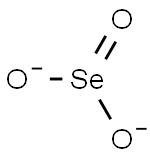 SELENITE Structure