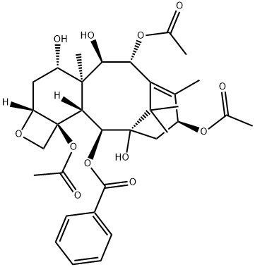 142203-65-4 13-Acetyl-9-dihydrobaccatin III