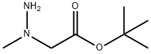 Acetic acid, (1-methylhydrazino)-, 1,1-dimethylethyl ester (9CI) Structure