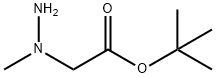 Acetic acid, (1-methylhydrazino)-, 1,1-dimethylethyl ester (9CI) 구조식 이미지