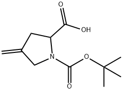 1-(tert-Butoxycarbonyl)-4-Methylenepyrrolidine-2-carboxylic acid 구조식 이미지