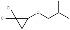 1-(2,2-dichlorocyclopropyl)oxy-2-methyl-propane Structure