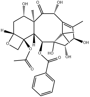 145533-34-2 14β-Hydroxydeacetylbaccatin III