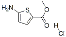 5-아미노티오펜-2-카르복실릭메틸에스테르염화물 구조식 이미지
