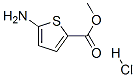 5-AMINOTHIOPHENE-2-CARBOXYLICMETHYLESTERHYDROCHLORIDE Structure