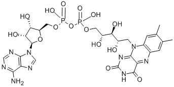 146-14-5 Flavin adenine dinucleotide