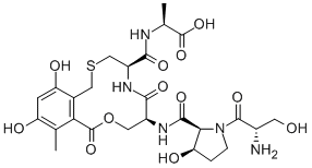 cyclothialidine Structure