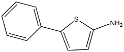 2-ThiophenaMine, 5-phenyl- Structure