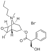 Scopolamine butylbromide 구조식 이미지