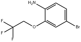 4-Bromo-2-(2,2,2-trifluoroethoxy)-phenylamine 구조식 이미지