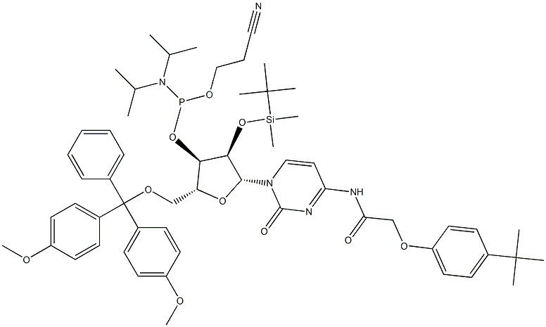 5'-O-(4,4-Dimethoxytrityl)-2'-O-[(tert-butyl)dimethylsilyl]-N-[[4-(tert-butyl)phenoxy]acetyl]cytidine-3'-(2-cyanoethyl-N,N-diisopropyl)phosphoramidite 구조식 이미지