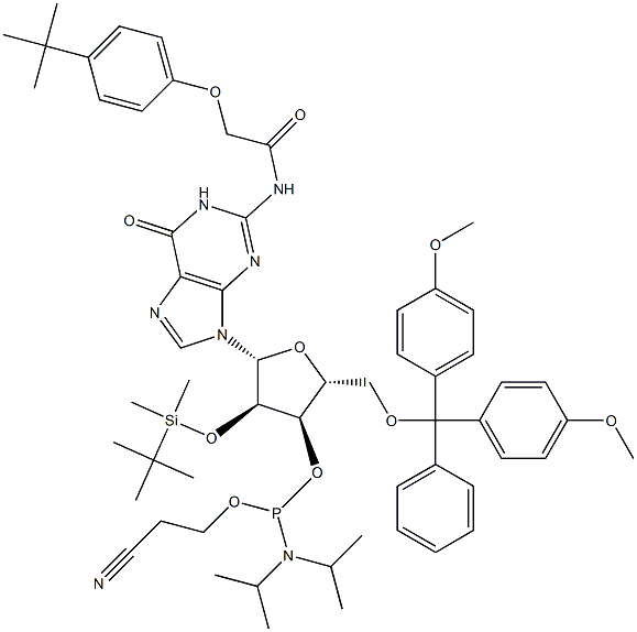 5'-O-(4,4-Dimethoxytrityl)-2'-O-[(tert-butyl)dimethylsilyl]-N-[[4-(tert-butyl)phenoxy]acetyl]guanosine-3'-(2-cyanoethyl-N,N-diisopropyl)phosphoramidite 구조식 이미지