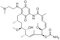 17-(DIMETHYLAMINOETHYLAMINO)-17-DEMETHOXYGELDANAMYCIN HCL Structure