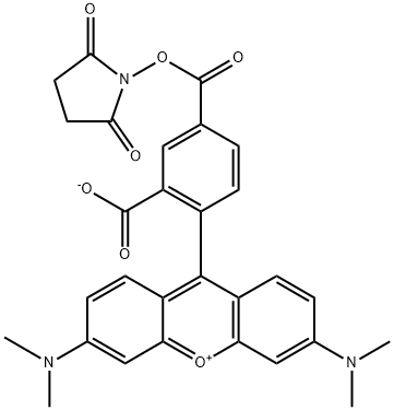 6-CARBOXYTETRAMETHYLRHODAMINE N-HYDROXYSUCCINIMIDE ESTER Structure