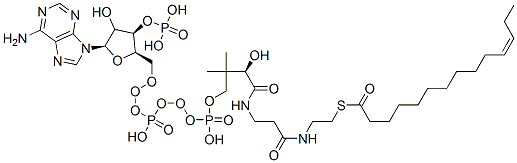 S-[2-[3-[[(2R)-4-[[[(2R,3R,5R)-5-(6-aminopurin-9-yl)-4-hydroxy-3-phosphonooxyoxolan-2-yl]methoxy-hydroxyphosphoryl]oxy-hydroxyphosphoryl]oxy-2-hydroxy-3,3-dimethylbutanoyl]amino]propanoylamino]ethyl] (Z)-tetradec-11-enethioate Structure