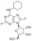 N 6-CYCLOHEXYLADENOSINE-[2,8-3H] Structure