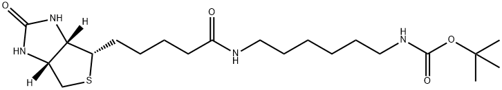 N-[6-[[5-[(3aS,4S,6aR)-Hexahydro-2-oxo-1H-thieno[3,4-d]imidazol-4-yl]-1 -oxopentyl]amino]hexyl]-carbamic Acid 1,1-Dimethylethyl Ester 구조식 이미지