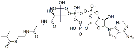 [(2R,3S,4R,5R)-5-(6-aminopurin-9-yl)-4-hydroxy-2-[[hydroxy-[hydroxy-[(3R)-3-hydroxy-2,2-dimethyl-3-[2-[2-(2-methylpropanoylsulfanyl)ethylcarbamoyl]ethylcarbamoyl]propoxy]phosphoryl]oxy-phosphoryl]oxymethyl]oxolan-3-yl]oxyphosphonic acid Structure