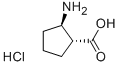 158414-44-9 (1R,2R)-(-)-2-Amino-1-cyclopentanecarboxylic acid hydrochloride