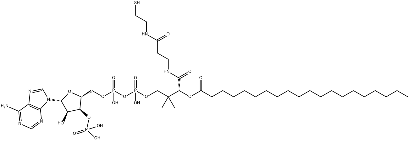 (C20:0) COENZYME A 구조식 이미지