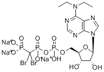 6-N,N-DIETHYL-D-BETA-GAMMA-DIBROMOMETHYLENE ATP Structure