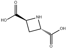 (+/-)-TRANS-AZETIDINE-2,4-DICARBOXYLIC ACID Structure