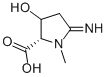 Proline, 3-hydroxy-5-imino-1-methyl- (9CI) Structure