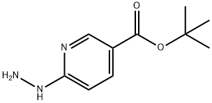 3-Pyridinecarboxylicacid,6-hydrazino-,1,1-dimethylethylester(9CI) Structure