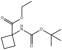 Cyclobutanecarboxylic acid, 1-[[(1,1-diMethylethoxy)carbonyl]aMino]-, ethyl ester 구조식 이미지