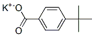 potassium p-tert-butylbenzoate  Structure