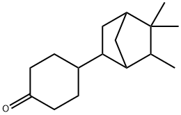 4-(5,5,6-trimethylbicyclo[2.2.1]hept-2-yl)cyclohexan-1-one Structure