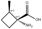 Cyclobutanecarboxylic acid, 1-amino-2-methyl-, trans- (9CI) Structure