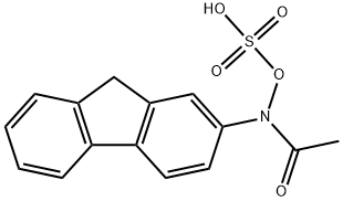 2-아세틸아미노플루오렌-N-설페이트 구조식 이미지
